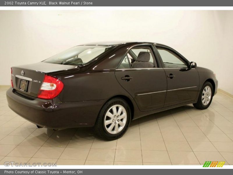 Black Walnut Pearl / Stone 2002 Toyota Camry XLE