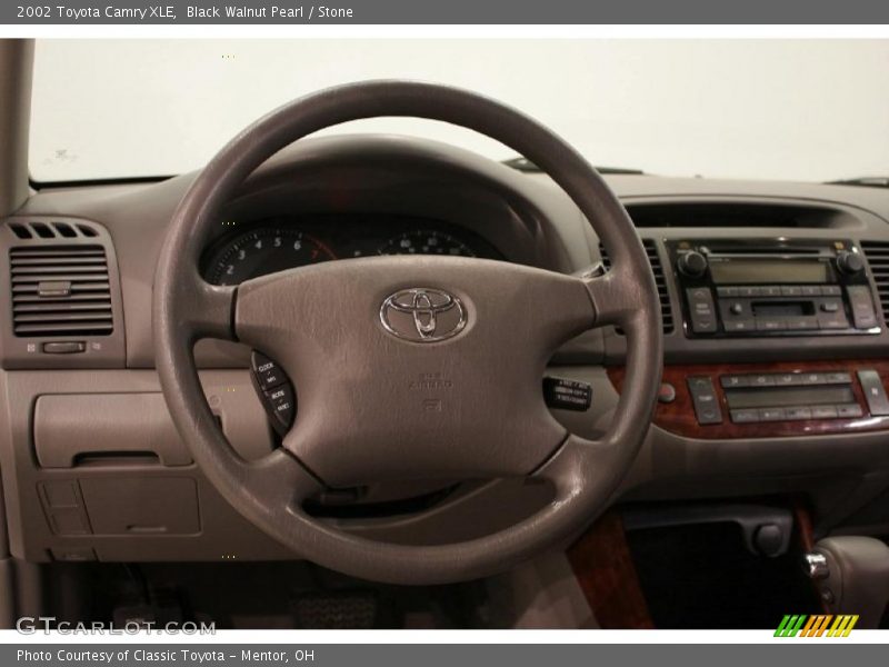 Black Walnut Pearl / Stone 2002 Toyota Camry XLE