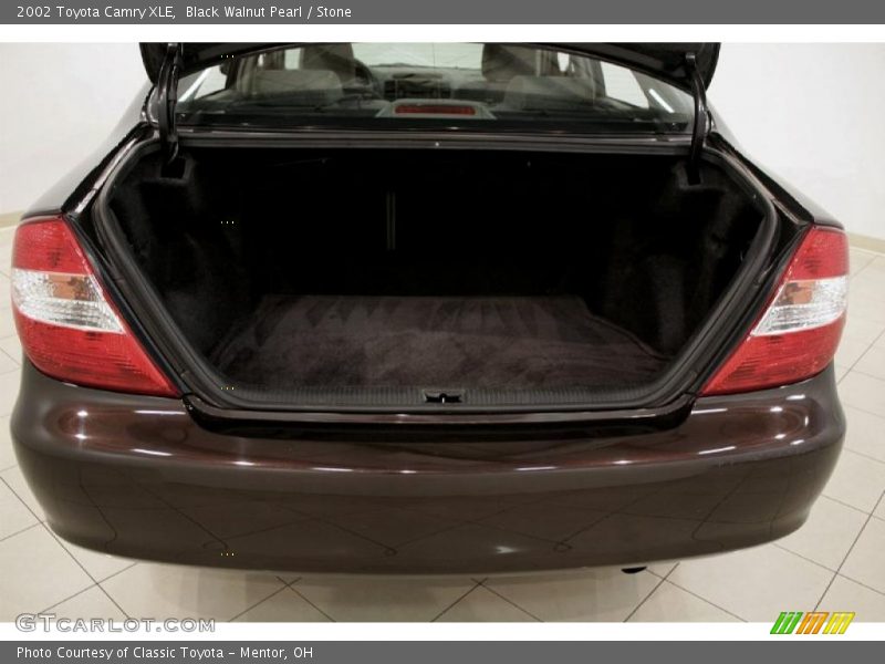 Black Walnut Pearl / Stone 2002 Toyota Camry XLE