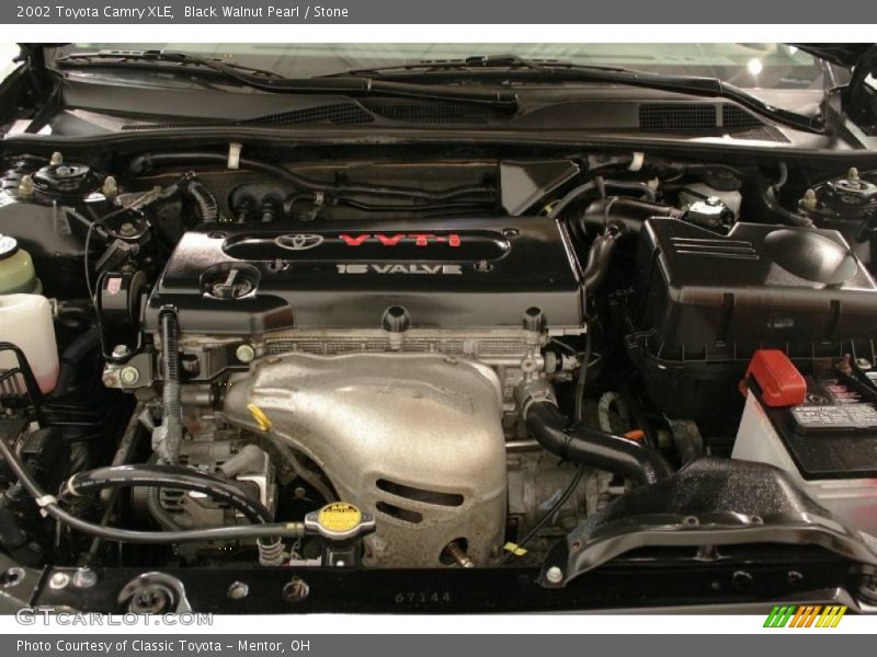 Black Walnut Pearl / Stone 2002 Toyota Camry XLE