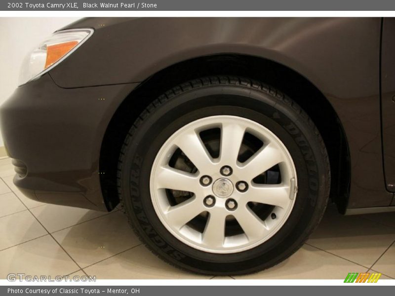 Black Walnut Pearl / Stone 2002 Toyota Camry XLE
