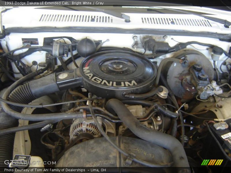 Bright White / Gray 1993 Dodge Dakota LE Extended Cab