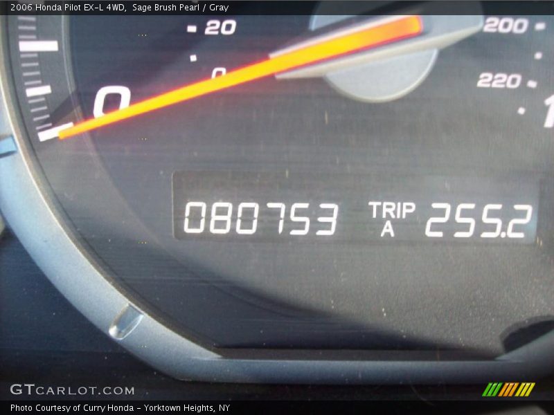 Sage Brush Pearl / Gray 2006 Honda Pilot EX-L 4WD