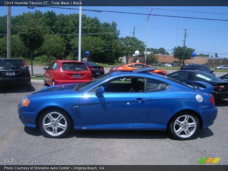 Tidal Wave / Black 2004 Hyundai Tiburon GT