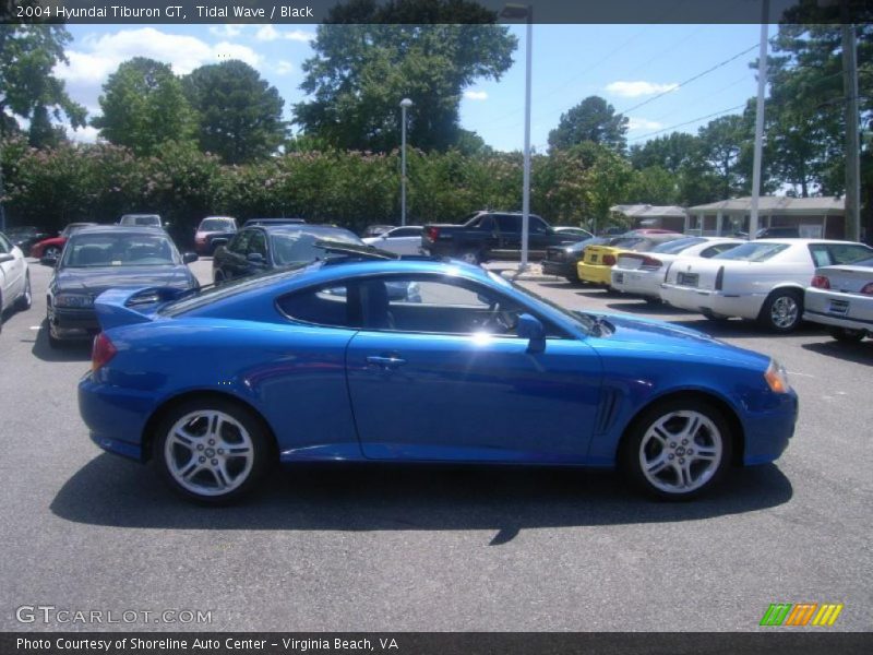 Tidal Wave / Black 2004 Hyundai Tiburon GT