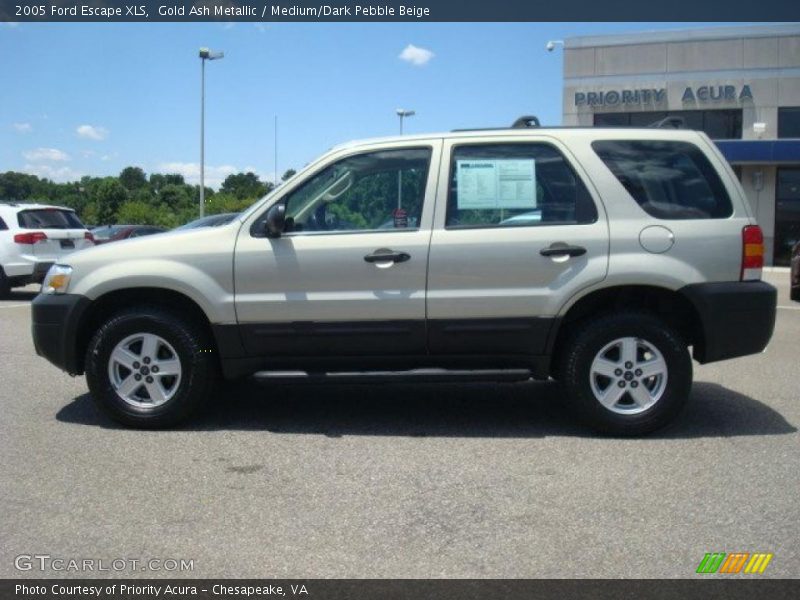 Gold Ash Metallic / Medium/Dark Pebble Beige 2005 Ford Escape XLS