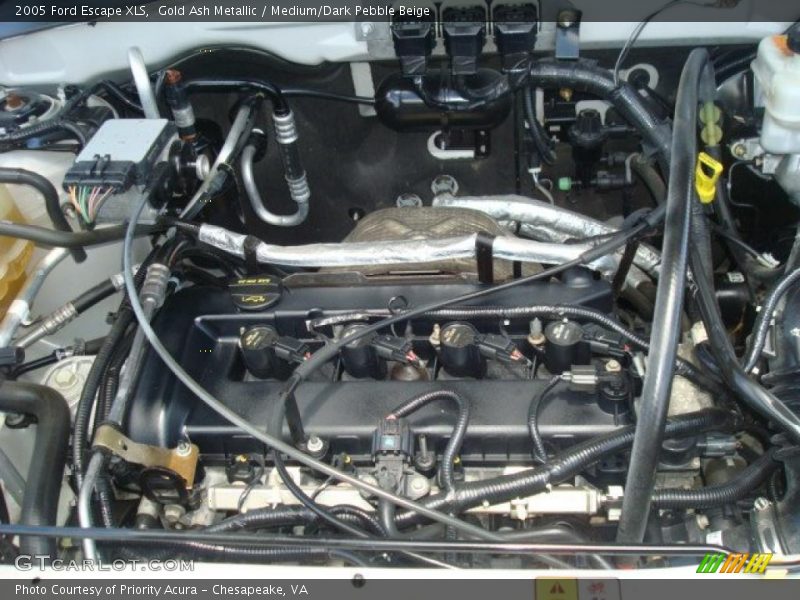 Gold Ash Metallic / Medium/Dark Pebble Beige 2005 Ford Escape XLS