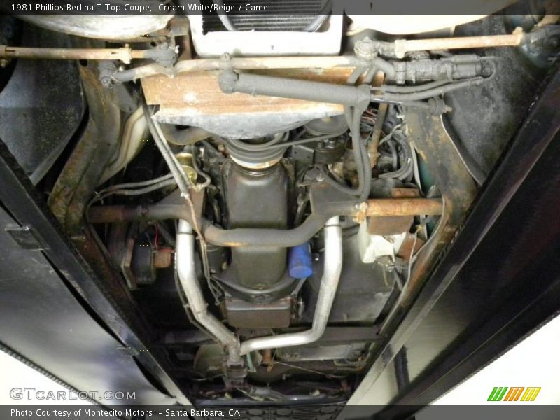 Cream White/Beige / Camel 1981 Phillips Berlina T Top Coupe