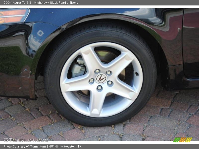 Nighthawk Black Pearl / Ebony 2004 Acura TL 3.2