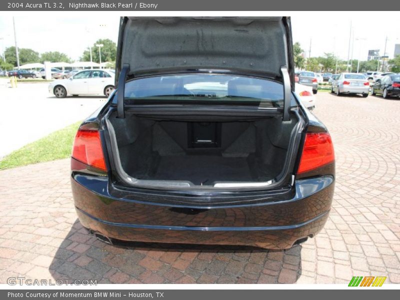 Nighthawk Black Pearl / Ebony 2004 Acura TL 3.2