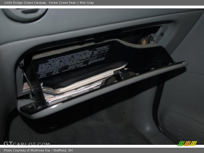 Forest Green Pearl / Mist Gray 1999 Dodge Grand Caravan