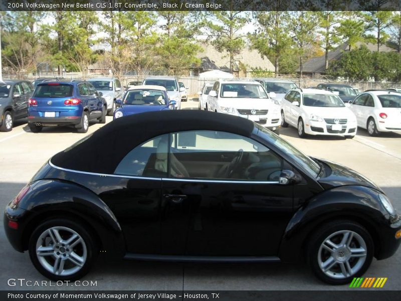 Black / Cream Beige 2004 Volkswagen New Beetle GLS 1.8T Convertible