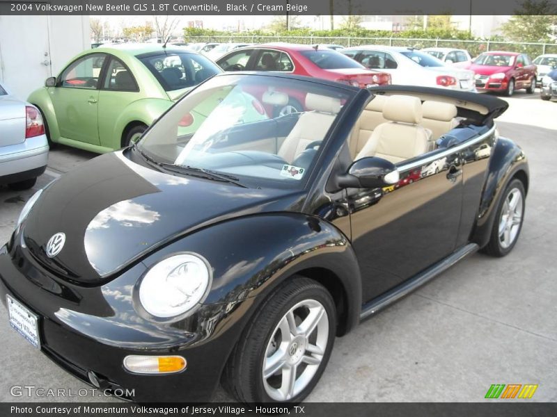 Black / Cream Beige 2004 Volkswagen New Beetle GLS 1.8T Convertible