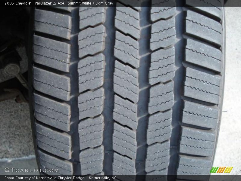 Summit White / Light Gray 2005 Chevrolet TrailBlazer LS 4x4