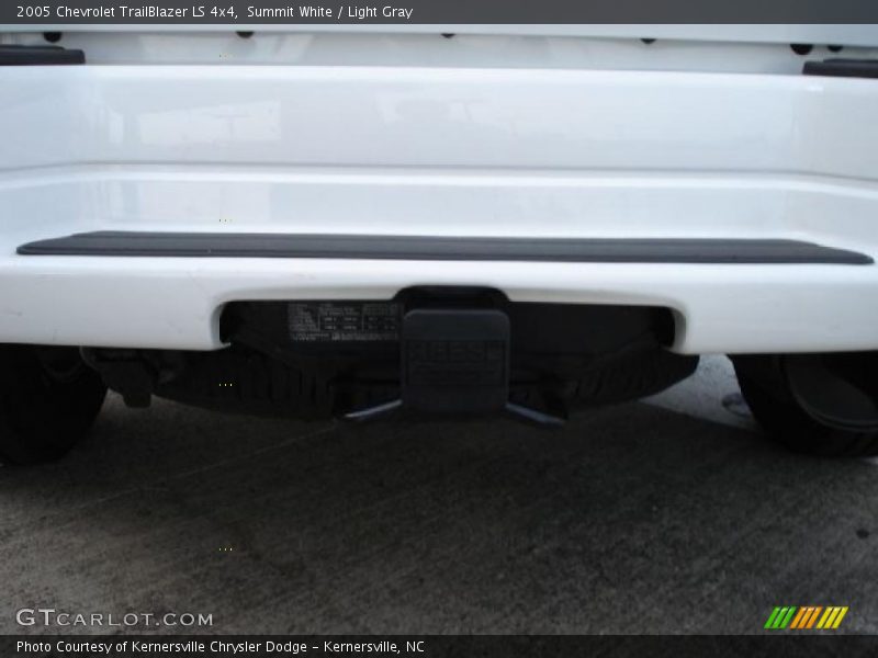 Summit White / Light Gray 2005 Chevrolet TrailBlazer LS 4x4