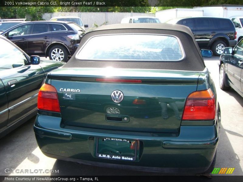 Bright Green Pearl / Black 2001 Volkswagen Cabrio GLS