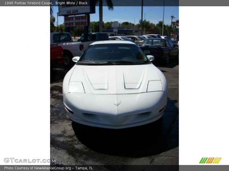 Bright White / Black 1996 Pontiac Firebird Coupe