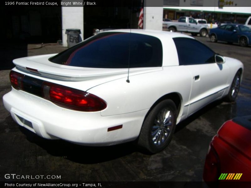 Bright White / Black 1996 Pontiac Firebird Coupe