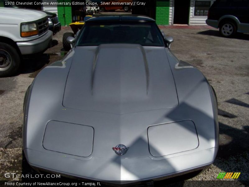 Silver Anniversary / Gray 1978 Chevrolet Corvette Anniversary Edition Coupe