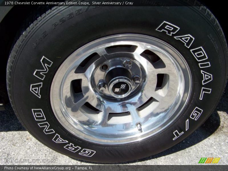 Silver Anniversary / Gray 1978 Chevrolet Corvette Anniversary Edition Coupe