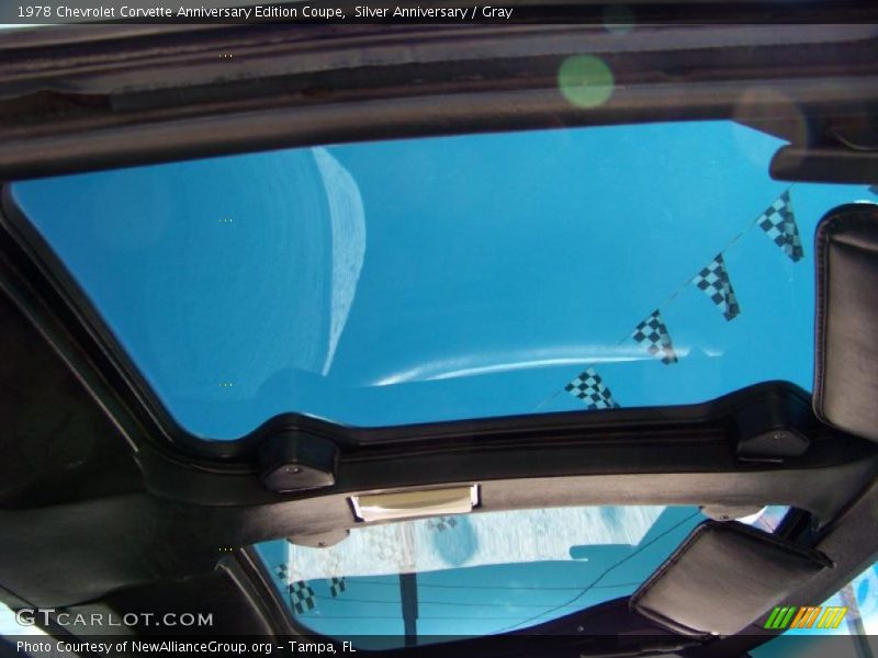 Silver Anniversary / Gray 1978 Chevrolet Corvette Anniversary Edition Coupe