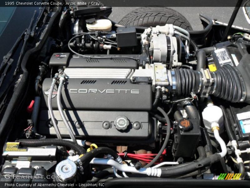 Arctic White / Gray 1995 Chevrolet Corvette Coupe