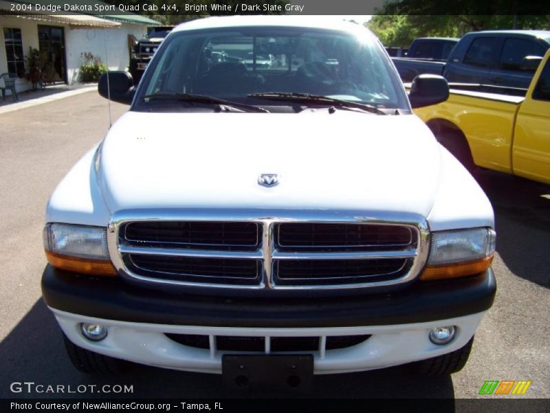 Bright White / Dark Slate Gray 2004 Dodge Dakota Sport Quad Cab 4x4