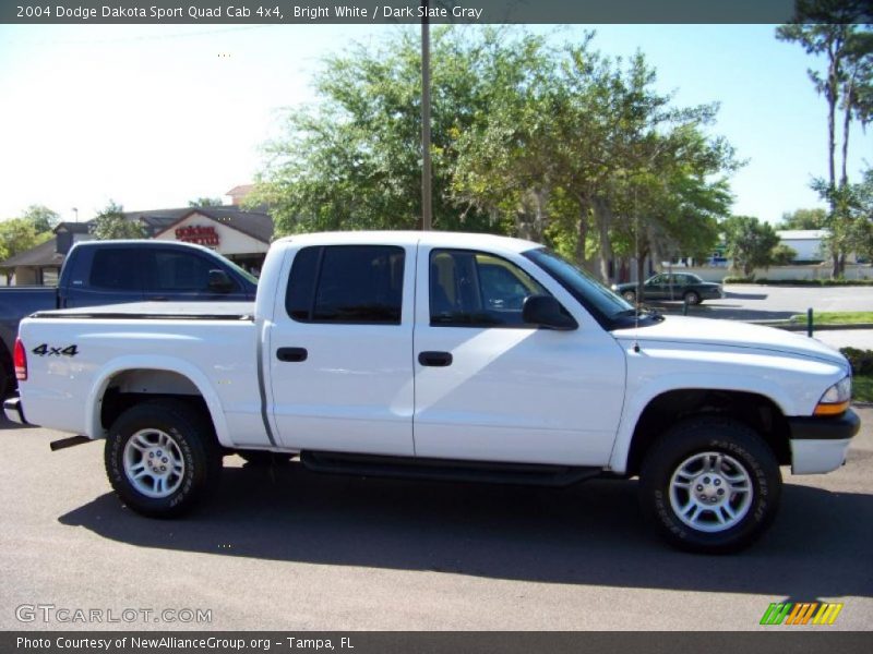 Bright White / Dark Slate Gray 2004 Dodge Dakota Sport Quad Cab 4x4