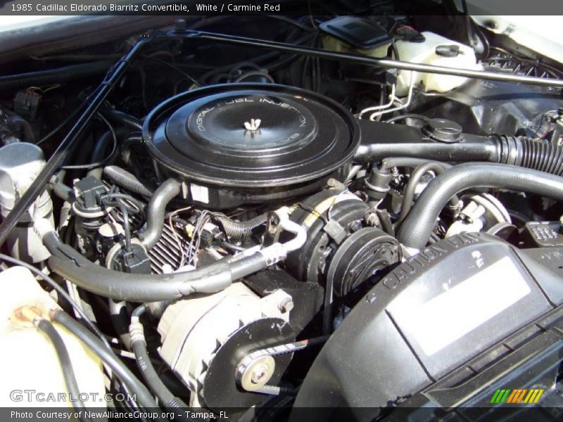 White / Carmine Red 1985 Cadillac Eldorado Biarritz Convertible