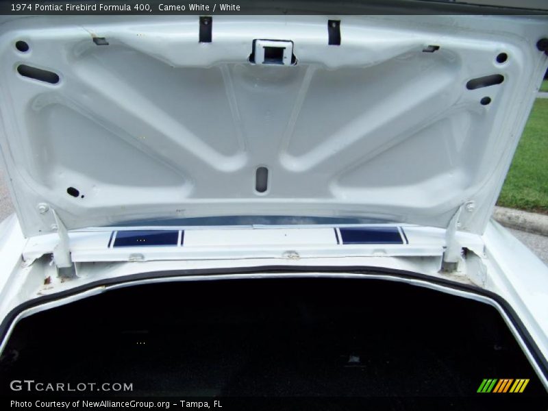 Cameo White / White 1974 Pontiac Firebird Formula 400