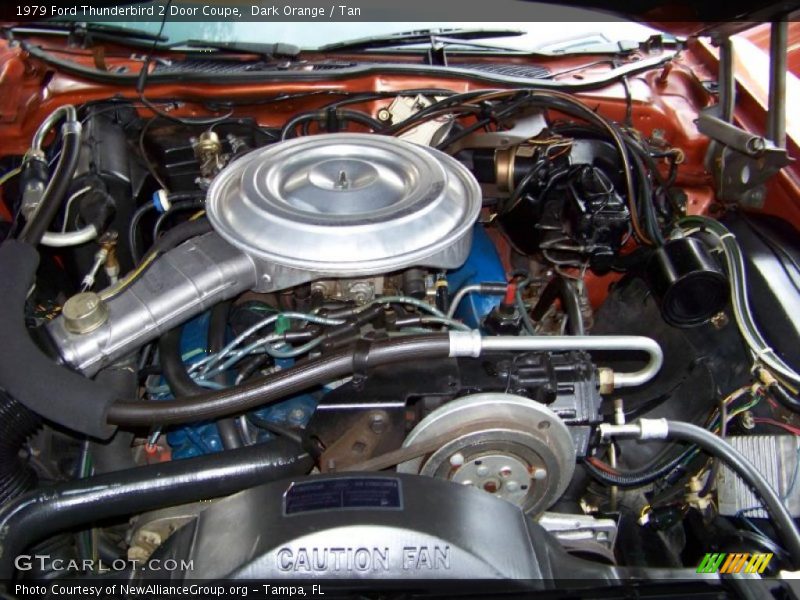 Dark Orange / Tan 1979 Ford Thunderbird 2 Door Coupe
