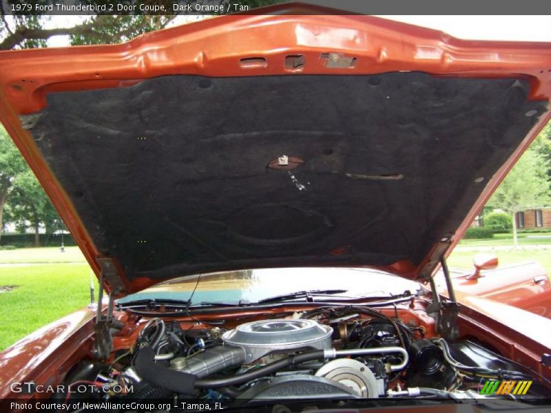 Dark Orange / Tan 1979 Ford Thunderbird 2 Door Coupe
