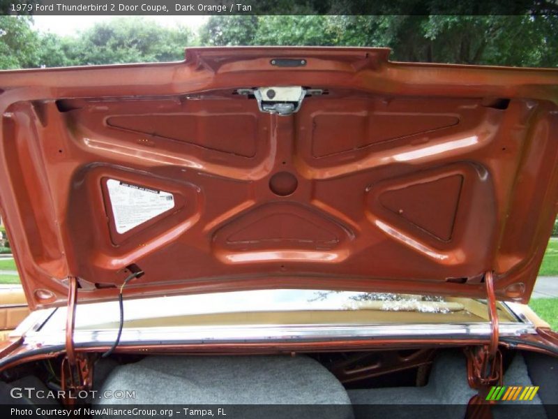 Dark Orange / Tan 1979 Ford Thunderbird 2 Door Coupe