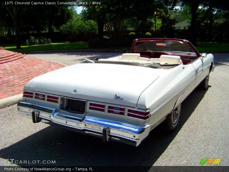 Black / White 1975 Chevrolet Caprice Classic Convertible