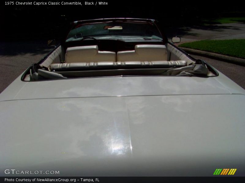 Black / White 1975 Chevrolet Caprice Classic Convertible