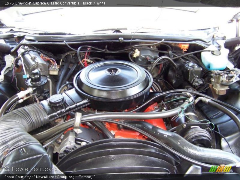 Black / White 1975 Chevrolet Caprice Classic Convertible