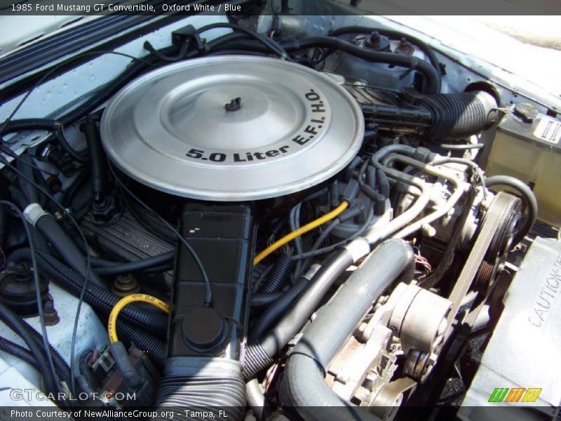 Oxford White / Blue 1985 Ford Mustang GT Convertible