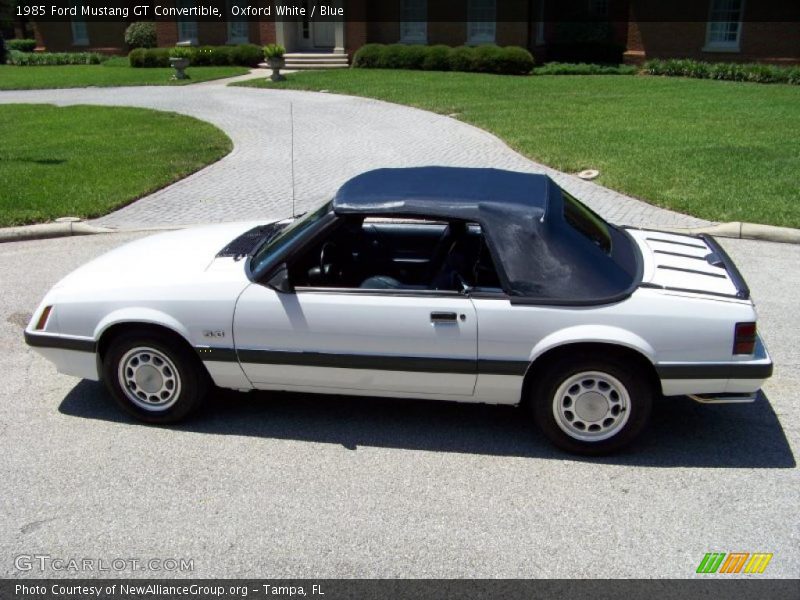 Oxford White / Blue 1985 Ford Mustang GT Convertible