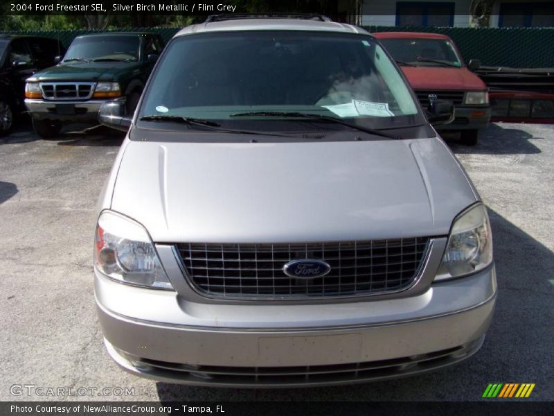 Silver Birch Metallic / Flint Grey 2004 Ford Freestar SEL