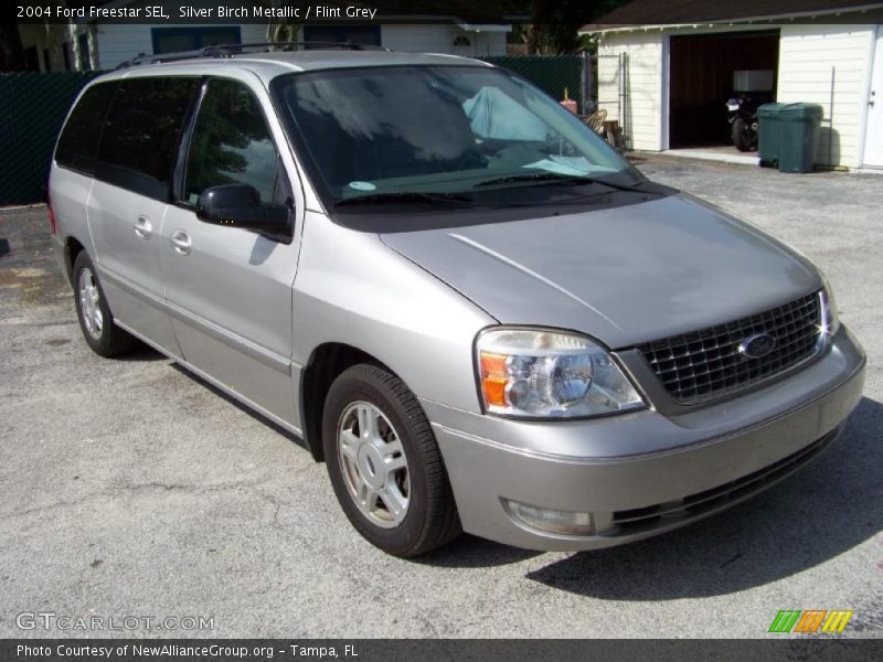 Silver Birch Metallic / Flint Grey 2004 Ford Freestar SEL