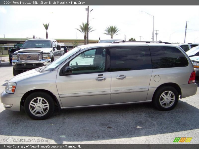 Silver Birch Metallic / Flint Grey 2004 Ford Freestar SEL