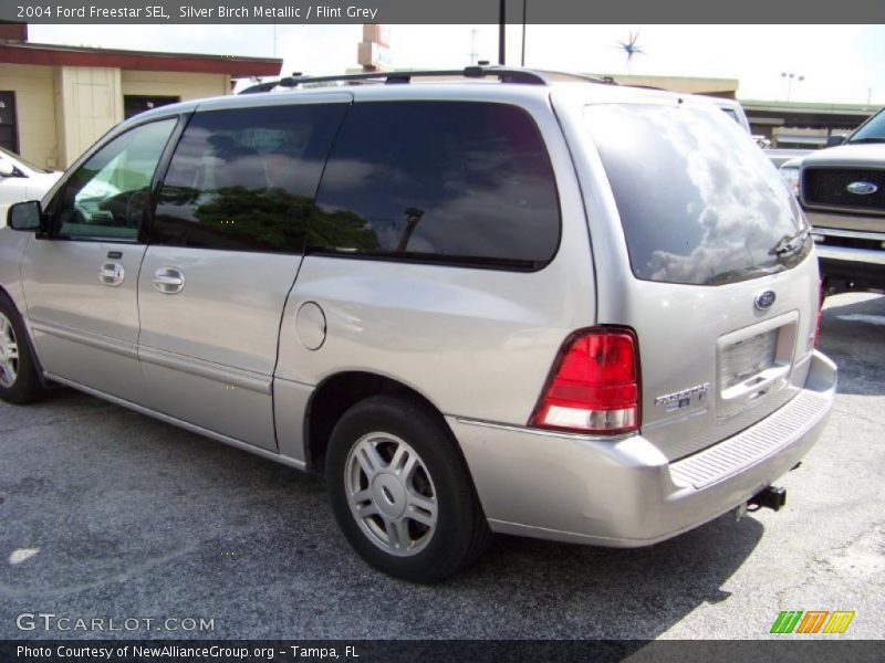 Silver Birch Metallic / Flint Grey 2004 Ford Freestar SEL