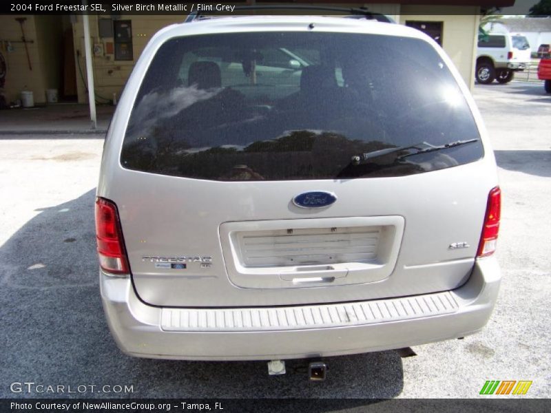 Silver Birch Metallic / Flint Grey 2004 Ford Freestar SEL