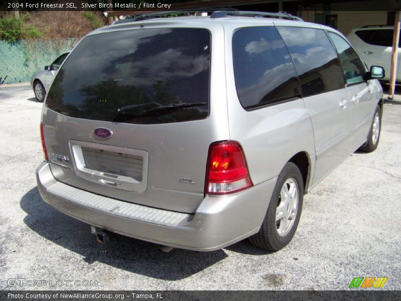 Silver Birch Metallic / Flint Grey 2004 Ford Freestar SEL