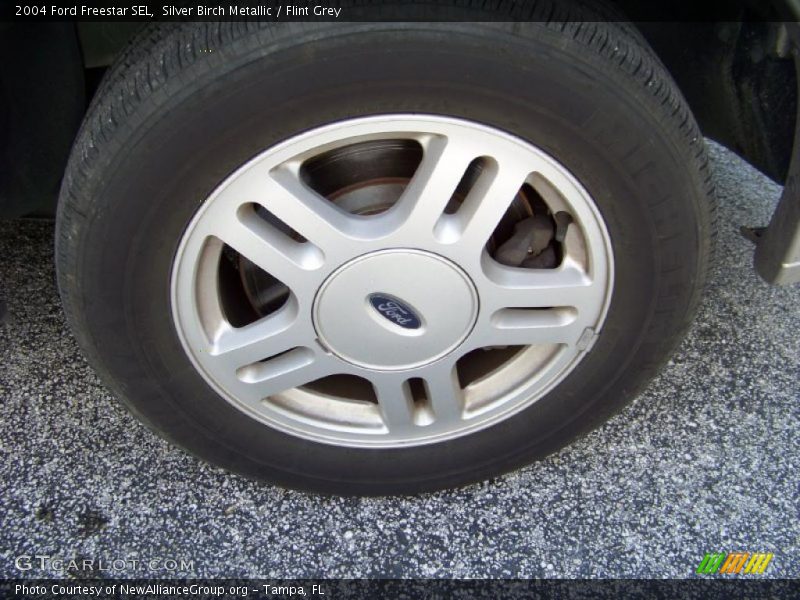 Silver Birch Metallic / Flint Grey 2004 Ford Freestar SEL