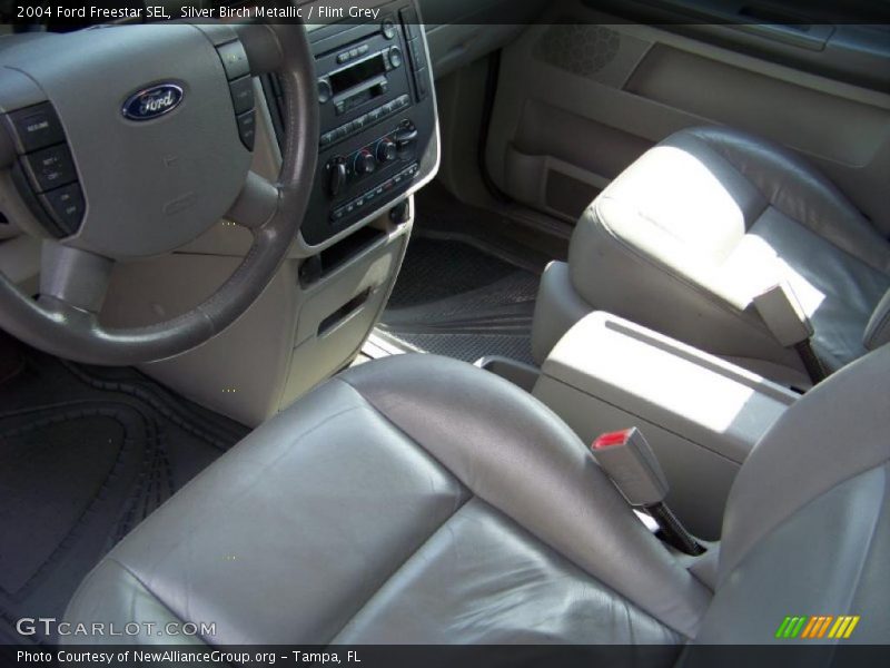 Silver Birch Metallic / Flint Grey 2004 Ford Freestar SEL