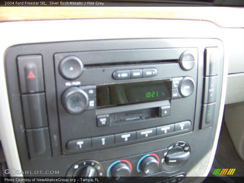 Silver Birch Metallic / Flint Grey 2004 Ford Freestar SEL