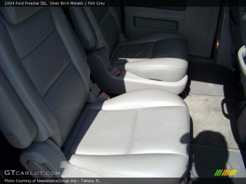 Silver Birch Metallic / Flint Grey 2004 Ford Freestar SEL