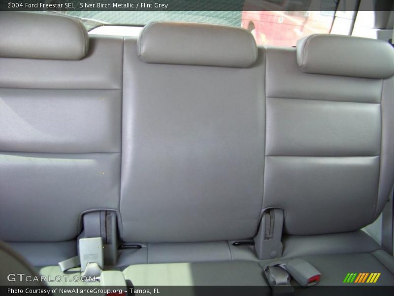 Silver Birch Metallic / Flint Grey 2004 Ford Freestar SEL