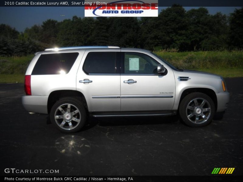 Silver Lining / Ebony 2010 Cadillac Escalade Luxury AWD